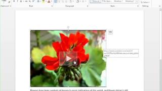 New to Atomic Learning - Office Suite 2013 What's New Training