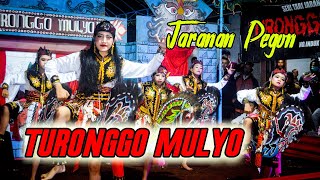 Jaranan Pegon Putri | Turonggo Mulyo | Live Geger Sendang Tulungagung