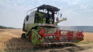 Servadi gehun ki katai || #farmer #harvesting #vishal435 #tractorvideo