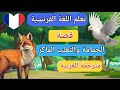 تعلم اللغة الفرنسية قصص مترجمة باللغة الفرنسية قصة الحمامة والثعلب الماكر 