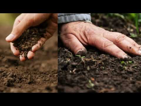 Umurozi Ubaroga Muzamutoraguza Amasashi Ahubwo Mubikore Gutya Mwirebere 