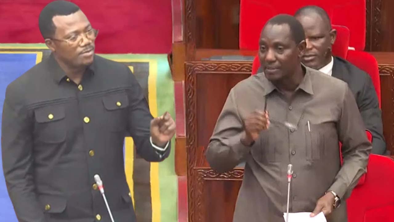 MPINA, Dr, BASHIRU ALLY Wasimamisha Bunge kwa dk 14 I Wahoji maswali haya magumu Serikalini