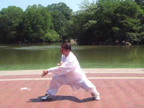 Chen Tai Chi - XIN JIA YI LU