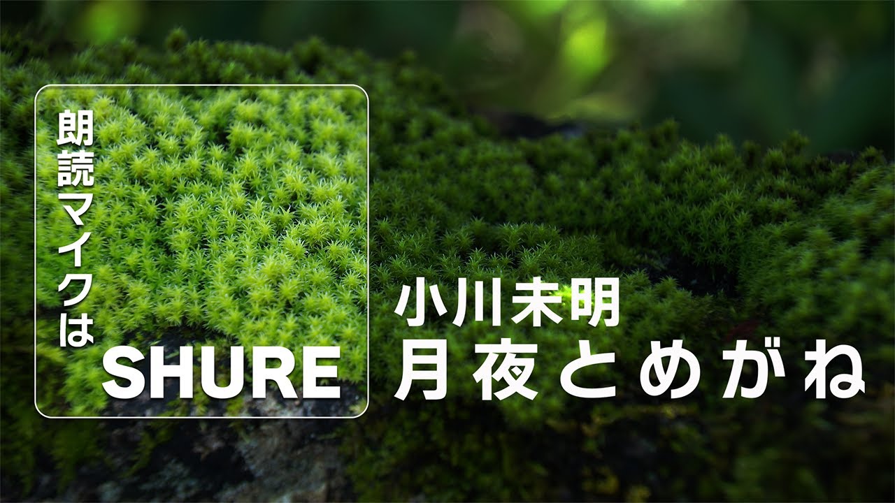 【朗読】月夜とめがね_小川未明