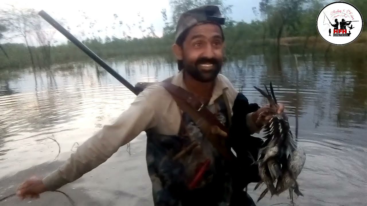 Duck Hunting 2021-2022 | Waterfowl Hunting | Hunting in Pakistan | Hunting and Fishing Hassan Zeb