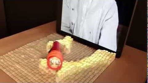 inFORM Interacting With a Dynamic Shape Display