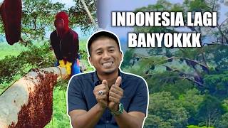 Ini Sebab Saya Cari Madu di Indonesia Bukan Malaysia