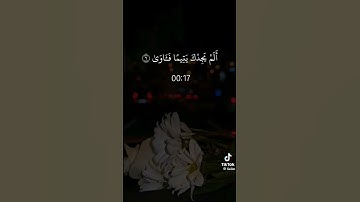 القرآن الكريم سورة الضحى بصوت جميل ورائع 💖💖💖❤❤❤👍