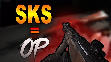 The New SKS Marksman Rifle Is OP | SKS & Renetti Gameplay | Cod Modern Warfare