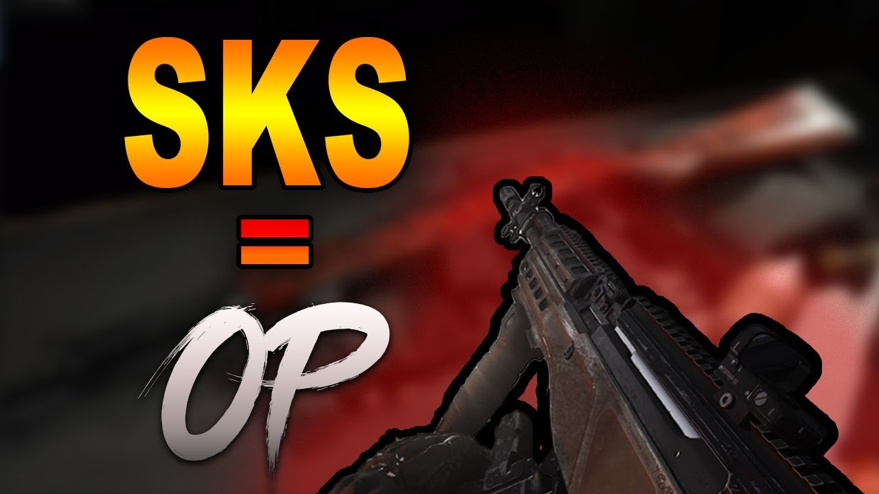 The New SKS Marksman Rifle Is OP | SKS & Renetti Gameplay | Cod Modern Warfare