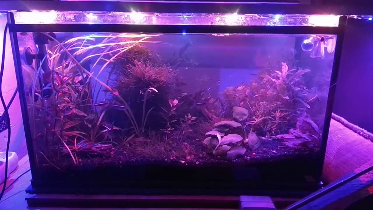 Led time controller TC420 - test