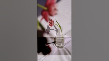 هو الذي أنزل السكينة. قرآن كريم قراءة عطرة #الصلاة_على_النبي #قران_كريم #قراءة_القرآن_الكريم