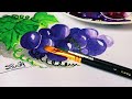 How to draw a bunch of grapes ll watercolour ll drawing diary of zareen