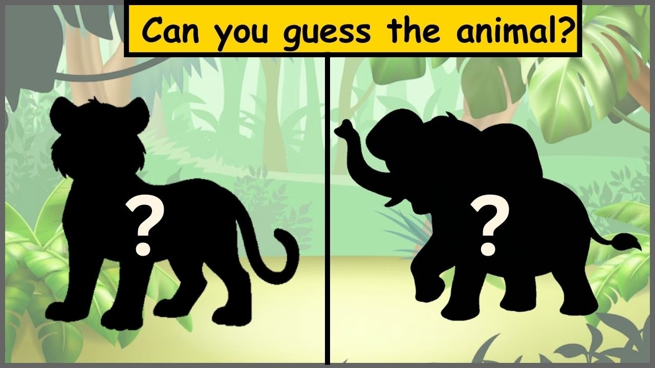 Guess the Animal by Shadow | Fun Animal Guessing Game for Kids - YouTube