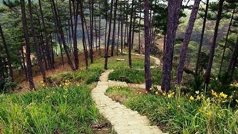 Làng Cù Lần - Ngôi làng cổ tích đẹp nhất Đà Lạt