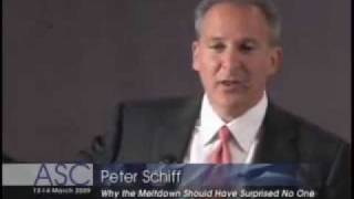 Peter Schiff Lecture, Financial Bubbles Explained (1/8) (ECONOMICS LECTURES)