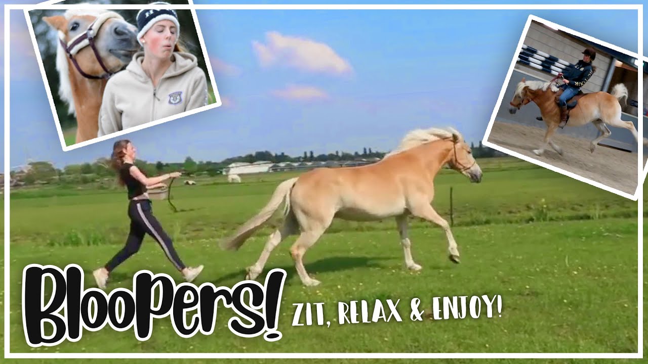 HORSE BLOOPER COMPILATION | alle bloopers van Steve!