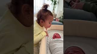 Soft Shhh Turns Into Full Panic Mode