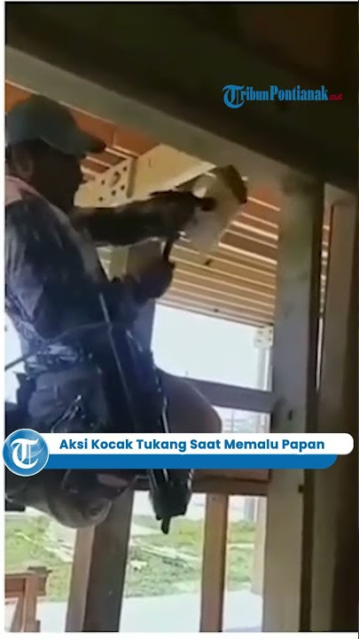 Aksi Tukang Saat Memukul Papan Menggunakan Palu