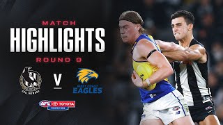 Collingwood v West Coast Eagles Highlights | Round 9, 2024 | AFL