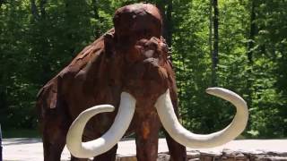 Fish Creek Visual Arts Experience