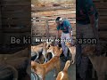 #share #goviral #usa #donate #donatenow #uk #fypシ #fypシ゚viral #fypyoutube #fypp