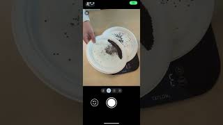 Super GeoAI Grain Grading Mobile App Demo1 (Canola TKW)