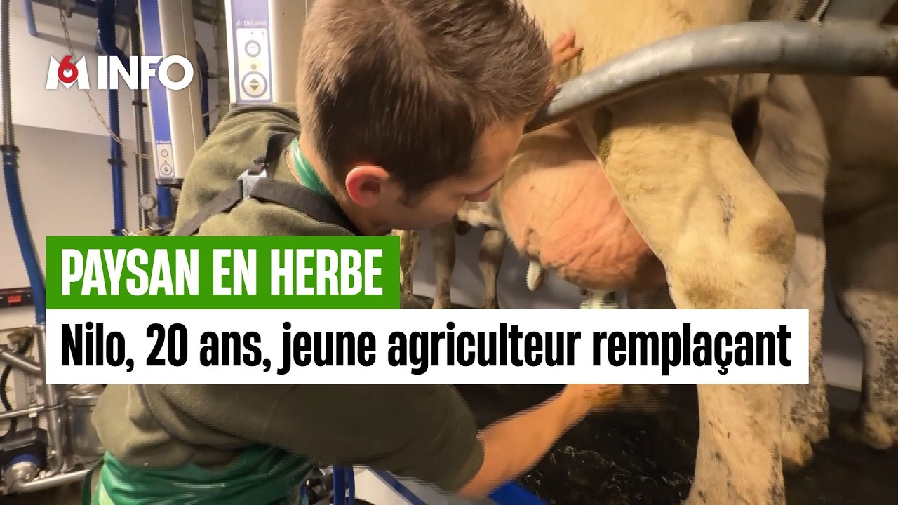 Nilo remplace les agriculteurs malades ou absents