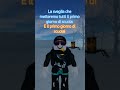 La sveglia che metteremo tutti il primo giorno di scuola (scusatemi il ritardo di 1 giorno)