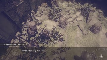 NieR:Automata: Bug