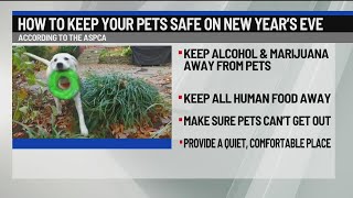 How to keep your pets safe on New Year’s Eve
