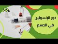 كيف يحافظ الإنسولين على توازن سكر الدم كيف يحافظ الإنسولين على توازن سكر الدم