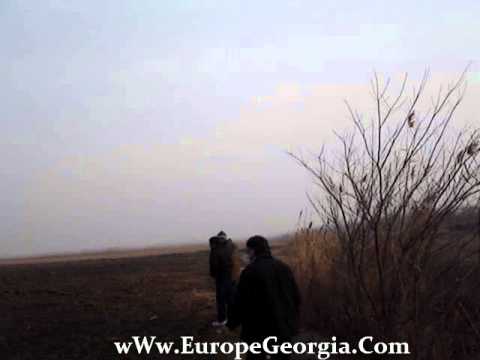 სოფლის მეურნეობა საქართველოში EuropeGeogia.Com