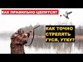 💥КАК ПРАВИЛЬНО ЦЕЛИТЬСЯ В УТКУ?  УПРЕЖДЕНИЕ.