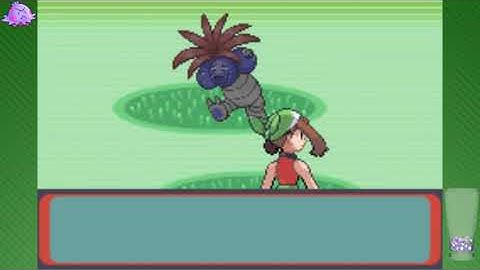 Pokemon Emerald: Randomizer Nuzlocke - Part 30