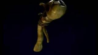 BIONICLE: Singing Squid
