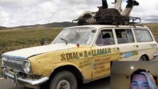 I'm Through With Internet Marketing!  Starting A Llama Rental Business screenshot 2