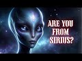 Are you from sirius this is why you are incarnated on earth