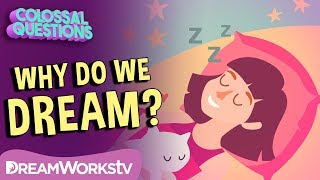 Why Do We Dream | COLOSSAL QUESTIONS