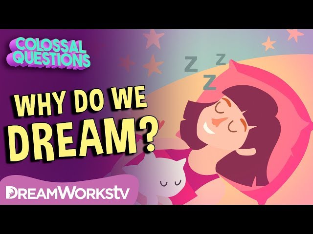 Colossal Questions - Why Do We Dream