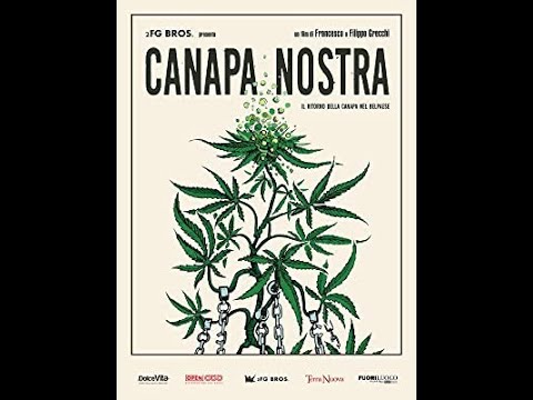 Canapa Nostra • ჩვენი კანაფი / ქართულად