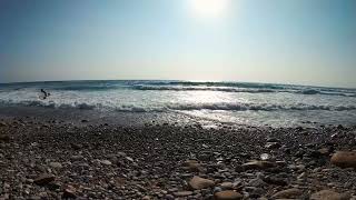 Sunny summer beach with waves and surfers STOCK VIDEO FREE TO USE