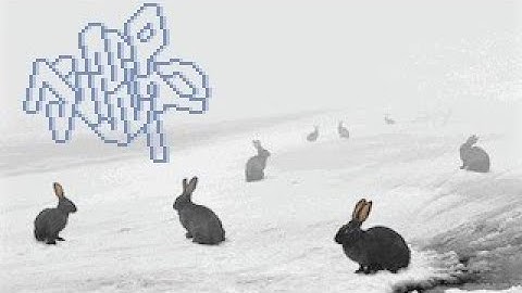 JUMPWAD: Doom Pure Platforming Collectathon by Ribbiks and Grain of Salt!