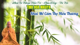 Tinh Hoa NIKAYA - Khai Mở Cảm Thọ Hiểu Thương