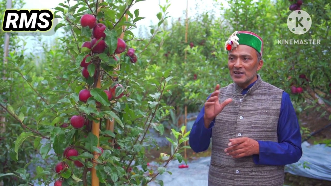 Fenplus Gala height me  size ke leya ha bhetar....  gala val ko replace kraga ये Gala🙏🏻🙏🏻