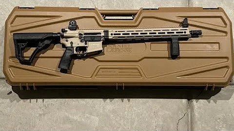 Limited Edition Daniel Defense DDM4V7 Overview