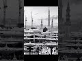 Nahin hai Koi duniya mein hamara ya Rasool Allah #viralvideo short video #islamicstoriesinurdu