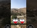 انا احبك ياديرتي