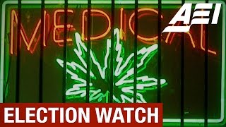 Will marijuana and voter ID laws change the 2014 midterm elections?