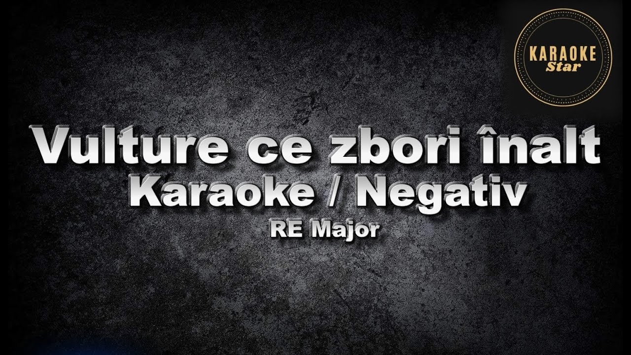 Vulture ce zbori înalt - Karaoke / Negativ - RE Major